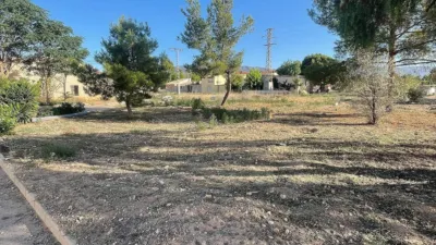Terreno en venta en El Pinós - Pinoso - Vista 5