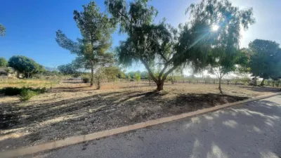 Terreno en venta en El Pinós - Pinoso - Més