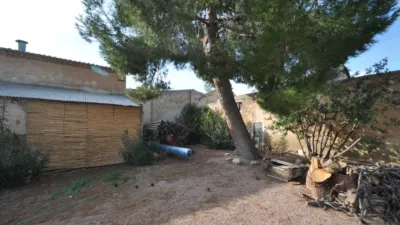 House in El Pinós - Pinoso photo 14