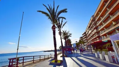 Terreno en venta en Torrevieja - Vista 5