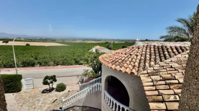 House in Algorfa photo 24