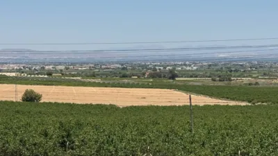 House in Algorfa photo 36