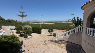 House in Algorfa photo 37