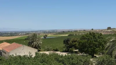 House in Algorfa photo 39