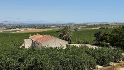 House in Algorfa photo 40