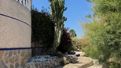 House in Algorfa photo 43