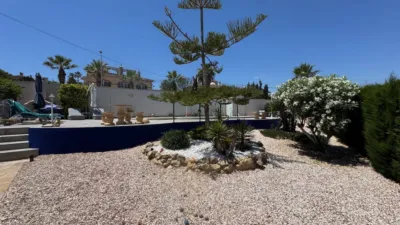 House in Algorfa photo 44
