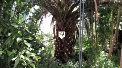 House in Alcaudete photo 3