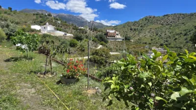 House in Viñuela photo 4