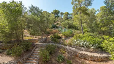 Rustic finca in Palma de Mallorca photo 3