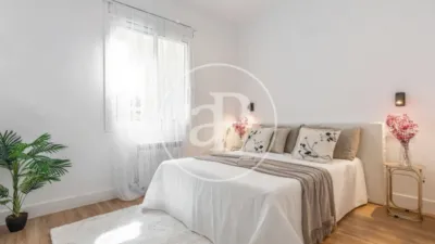 Apartment in Palacio photo 14