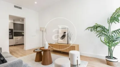 Apartment in Palacio photo 5