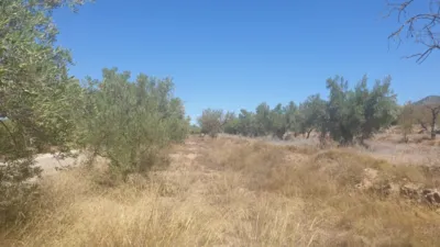Terreno en venta en Biar - Vista 2