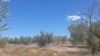 Terreno en venta en Biar - Vista 3