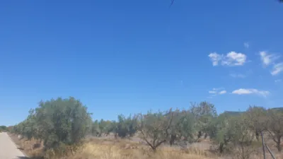 Terreno en venta en Biar - Vista 5