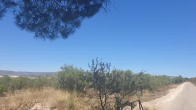 Terreno en venta en Biar - Més