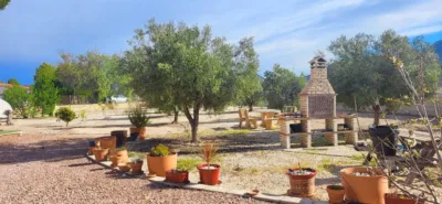 Finca rústica en Monòver - Monóvar photo 4