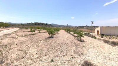Terreno en venta en Monòver - Monóvar - Vista 2