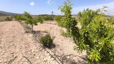 Terreno en venta en Monòver - Monóvar - Vista 4
