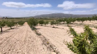 Terreno en venta en El Pinós - Pinoso - Vista 2