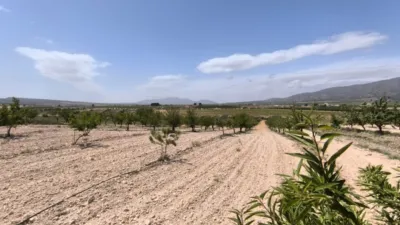 Terreno en venta en El Pinós - Pinoso - Vista 3