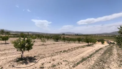 Terreno en venta en El Pinós - Pinoso - Vista 4