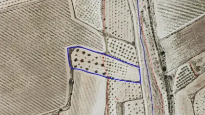 Terreno en venta en El Pinós - Pinoso - Vista 5