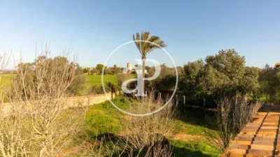 House in Felanitx photo 39