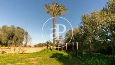 House in Felanitx photo 45