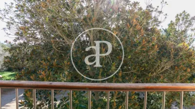House in Felanitx photo 49