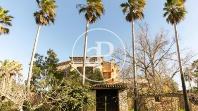 House in Felanitx photo 4