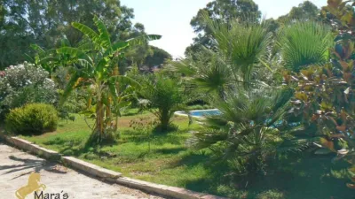 Rustic farm in La Puebla del Río photo 4