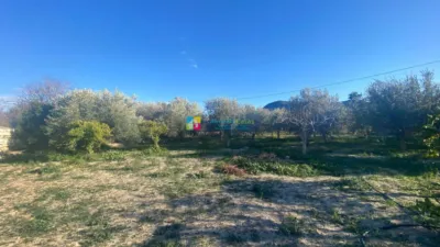 Rustic finca in Fines photo 15