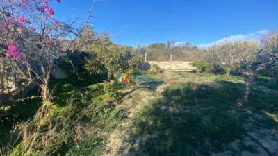 Rustic finca in Fines photo 17