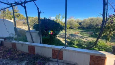 Rustic finca in Fines photo 4