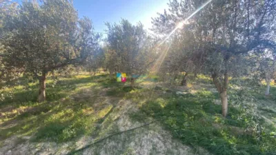 Rustic finca in Fines photo 5
