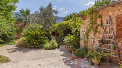 House in Sóller photo 41