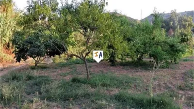Rustic Finca in Fuensanta de Martos photo 14