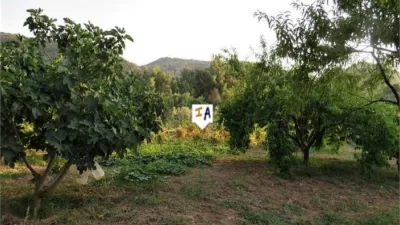 Rustic Finca in Fuensanta de Martos photo 16