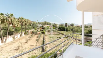 Apartment in Port d'Andratx photo 3