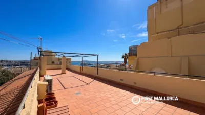 Apartment in Palma de Mallorca photo 12