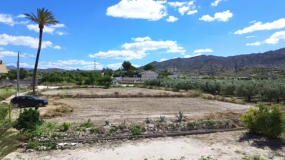 House in Abanilla photo 33