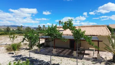 House in Abanilla photo 4