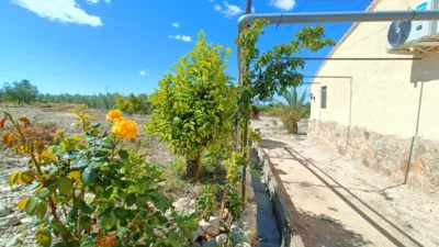 House in Abanilla photo 7