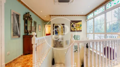House in Elda photo 18
