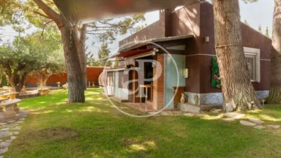 House in Elda photo 46