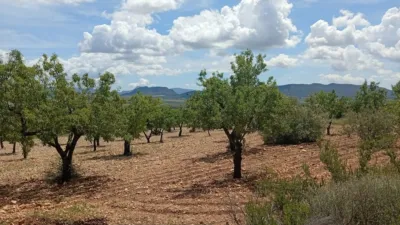 Casa – Salinas, Urbanización Cava Negra, l'Alt Vinalopó / El Alto Vinalopó - Más