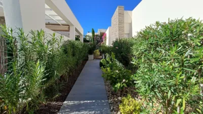 Chalet en Algorfa photo 41