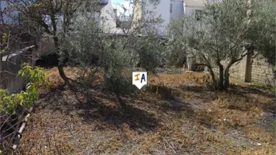 House in Torredonjimeno photo 3