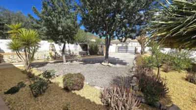 Villa in Cantoria photo 18